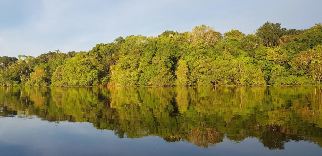 Roteiro de 7 dias na Amazônia: rios, cachoeiras e selva amazônica