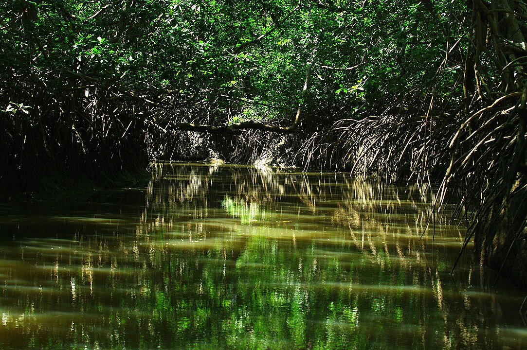 Onde se hospedar no Delta do Parnaíba – o paraíso do Piauí